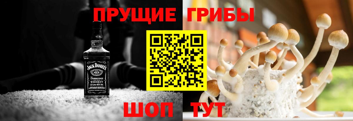 Галлюциногенные грибы Psilocybe Анапа